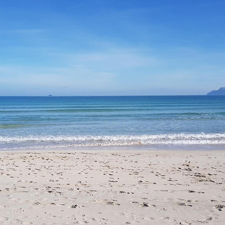 Ideal Property Mallorca - Barbera Alcudia  Eksteriør billede