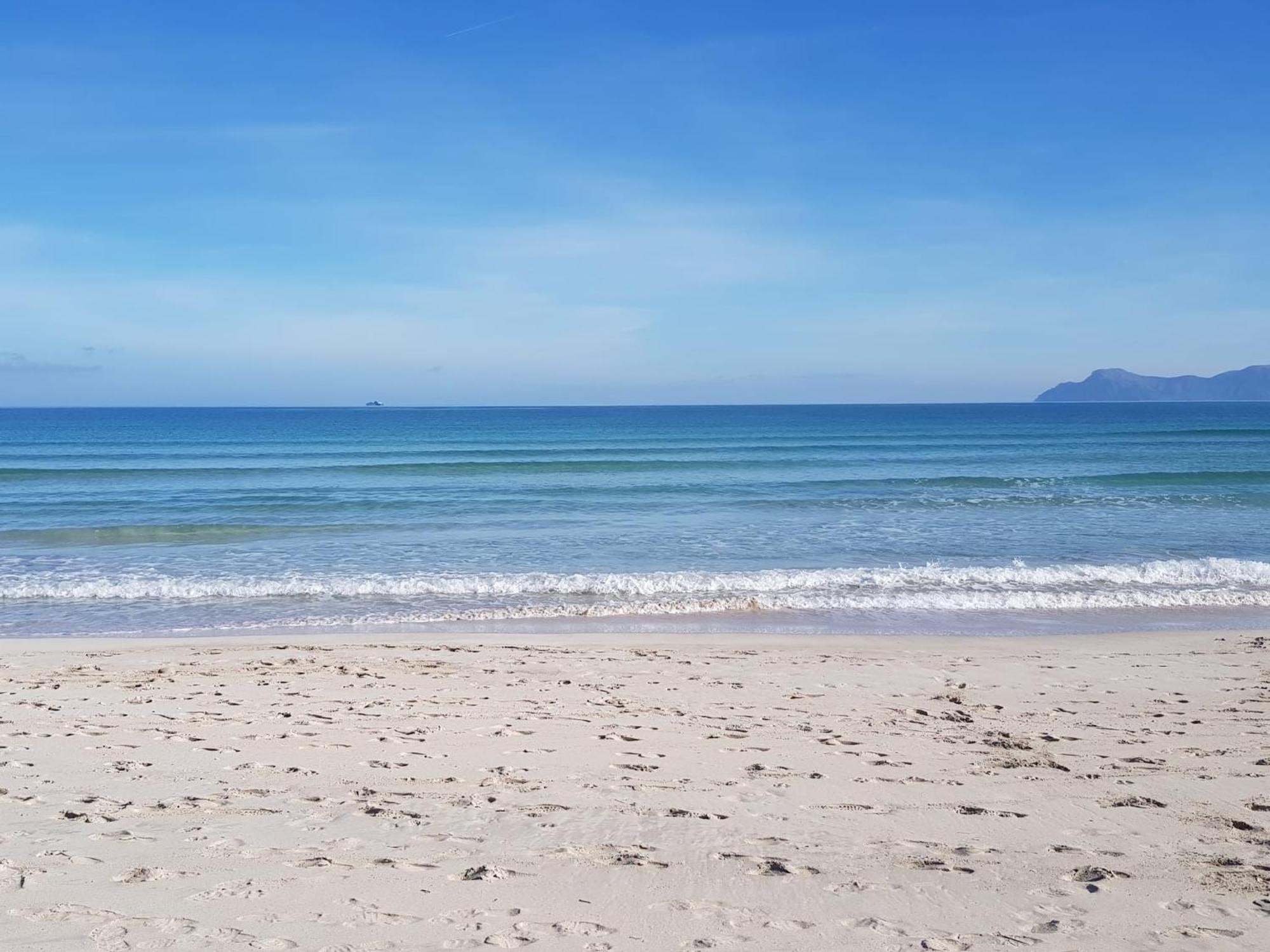 Ideal Property Mallorca - Barbera Alcudia  Eksteriør billede